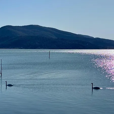 Trasimeno - Casa Del Pescatore - A Due Passi Dal Lago, Vicino Perugia Casa de Férias San Feliciano